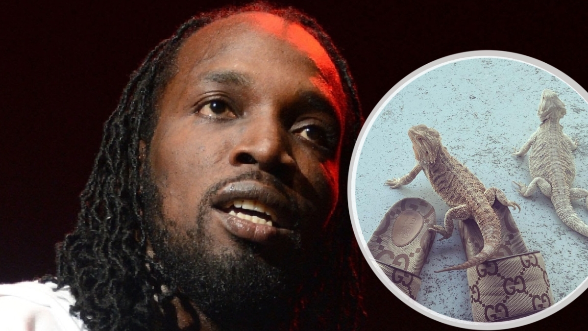 Mavado Visited by Bearded Dragons; Asks 
