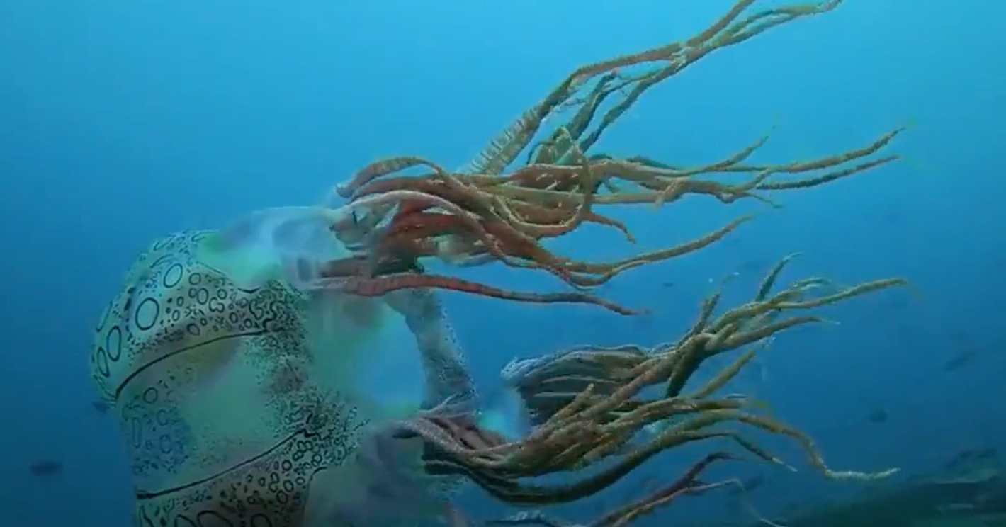 Rare Alien-looking Jellyfish Caught on Camera - Watch Video