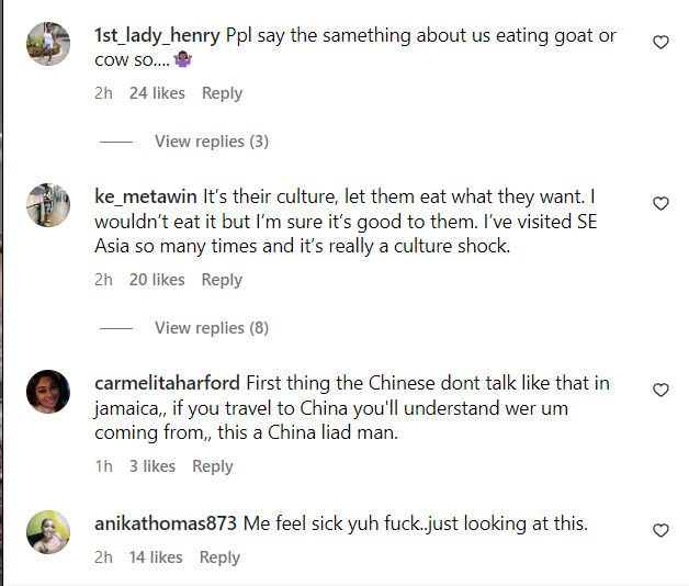 Chinese comments