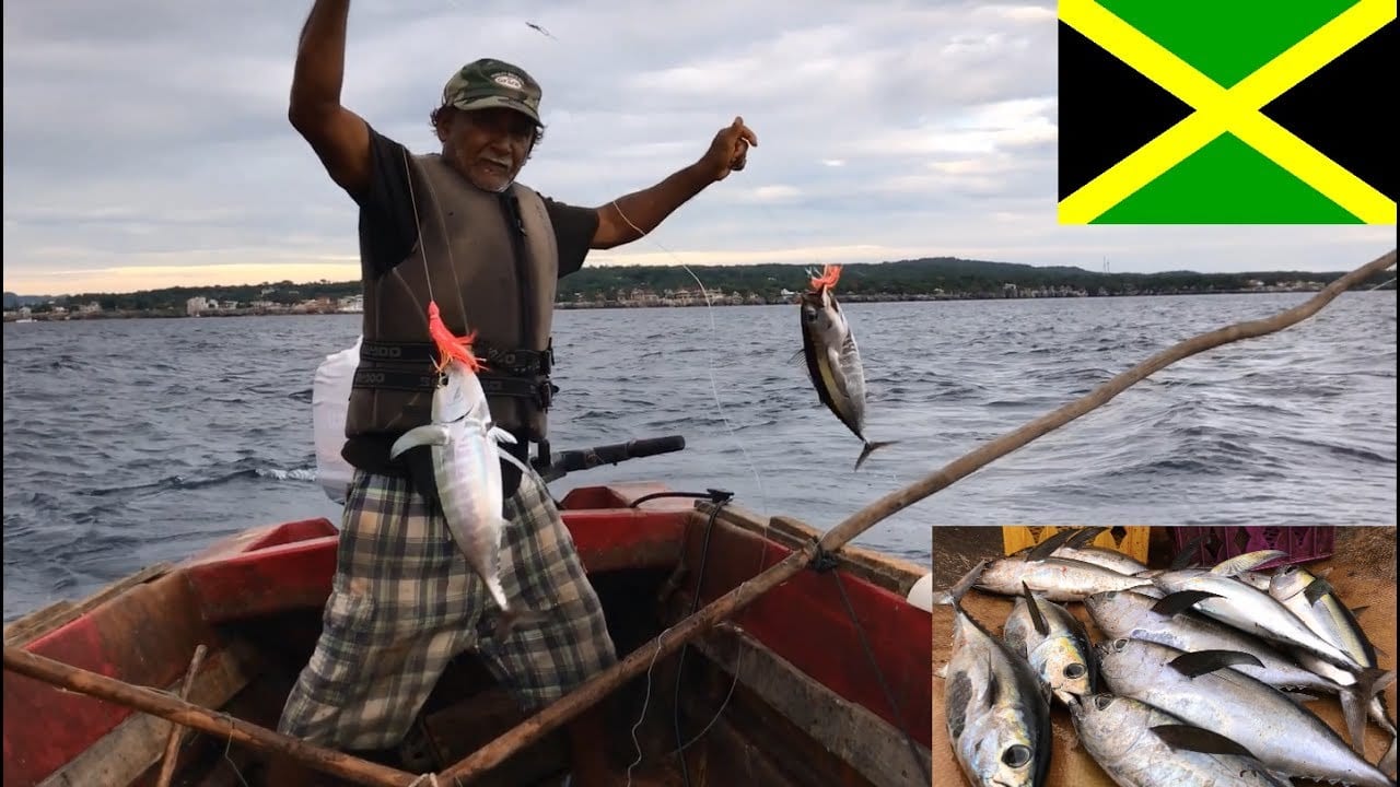 Tuna Fishing in Negril Jamaica [Video]