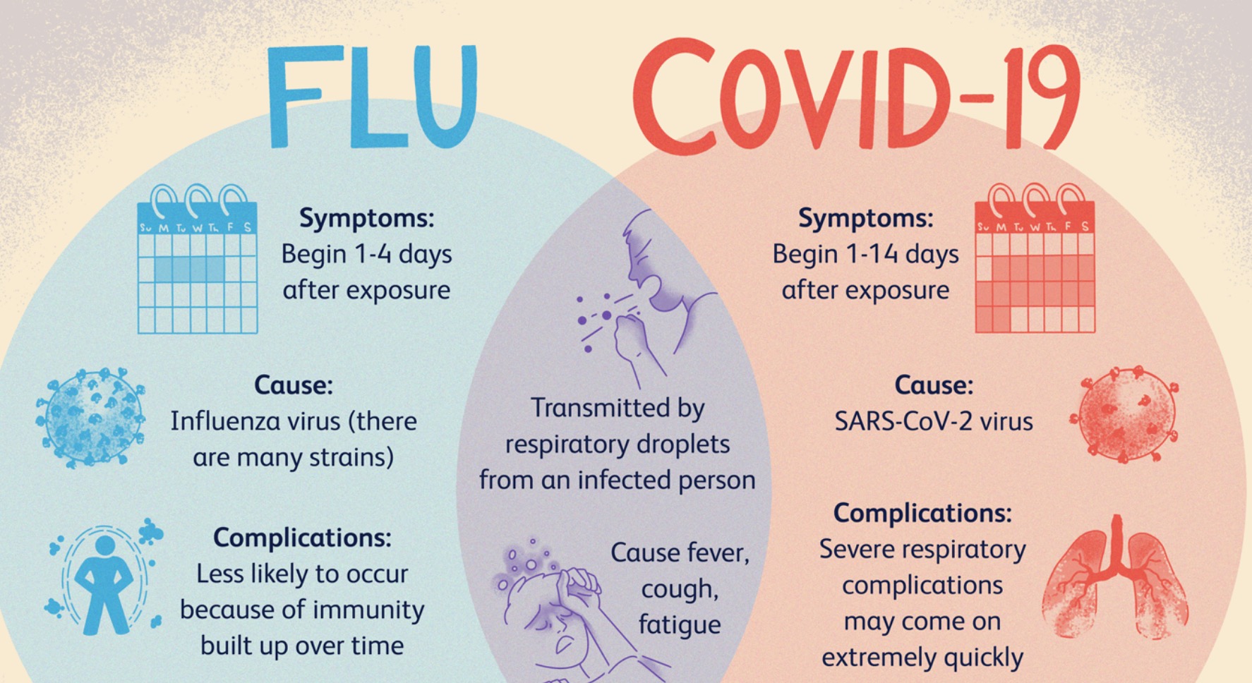 Learn The Difference Between the "Coronavirus" Versus the "Flu"