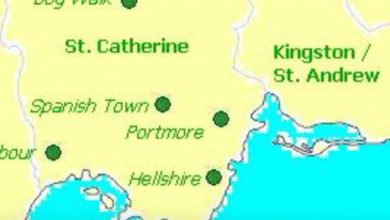 earth quake kingston st. catherine