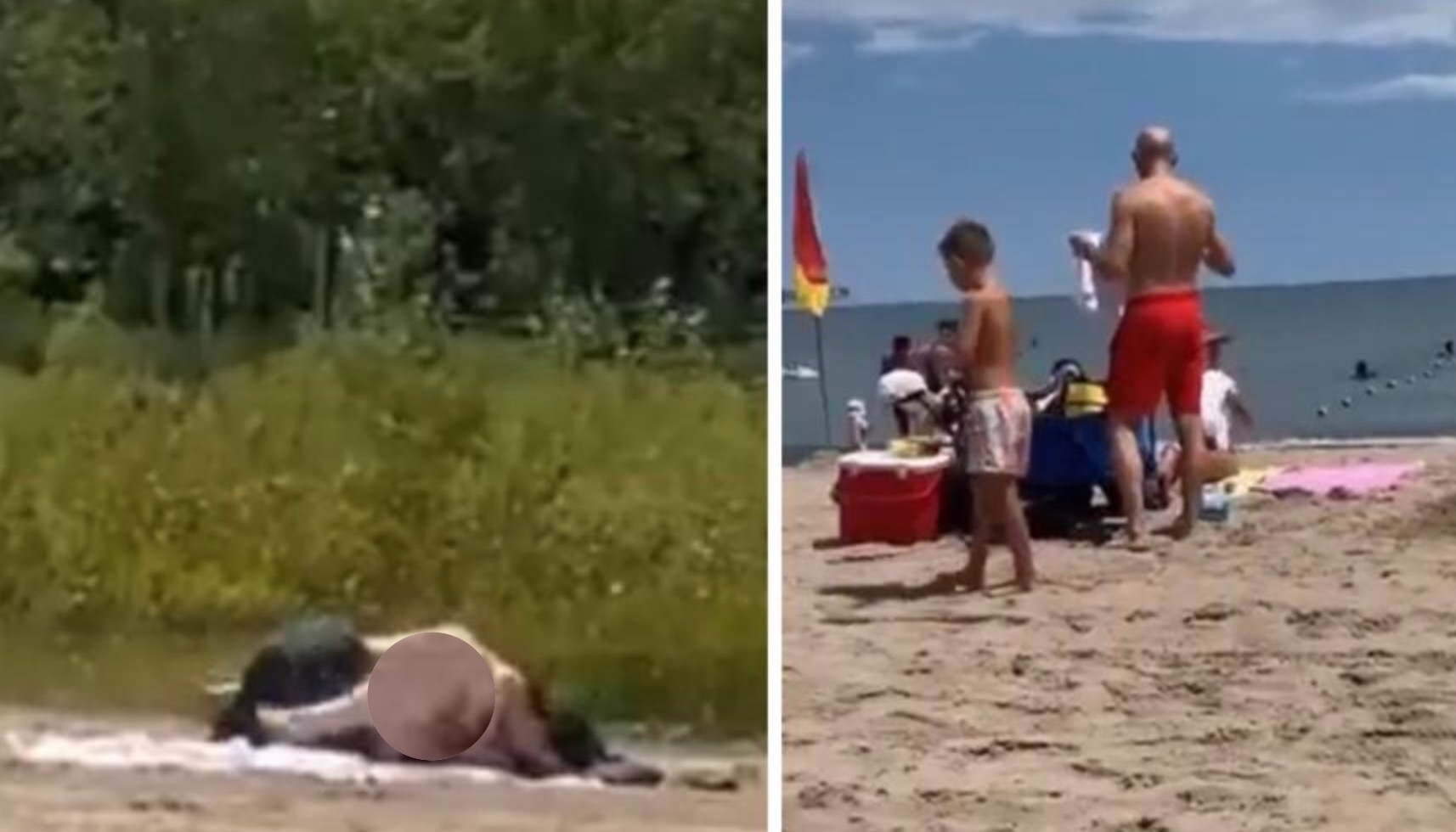 BRAZEN Couple Have Sex on the Beach While Baby and Kids Are Around - Watch Video pic pic