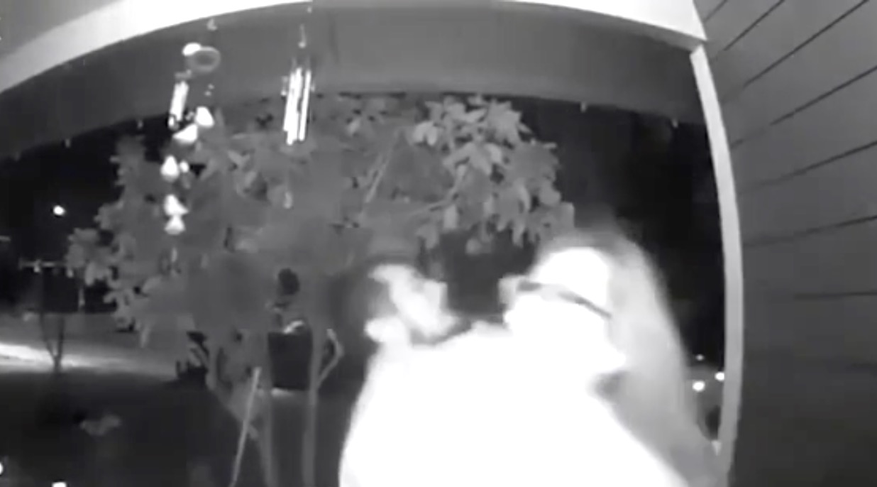 WATCH: Woman's Kidnapping Captured on Doorbell Camera in the U.S
