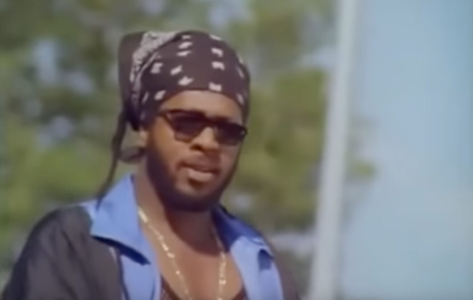 Ini Kamoze's 1994 Hit 'Here Comes the Hotstepper' #1 on iTunes Top 100 ...