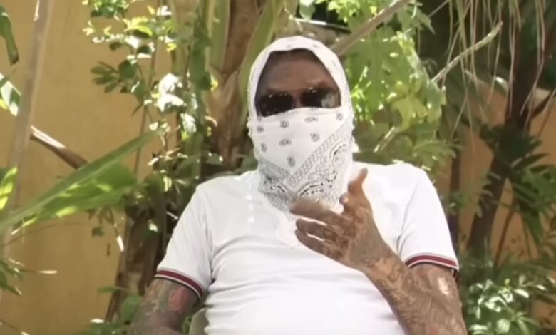 "Half a Dancehall a my pickny" says Vybz Kartel: Video