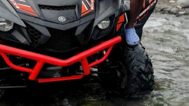 Guess Which Dancehall artiste Owns This 'Beast' ATV