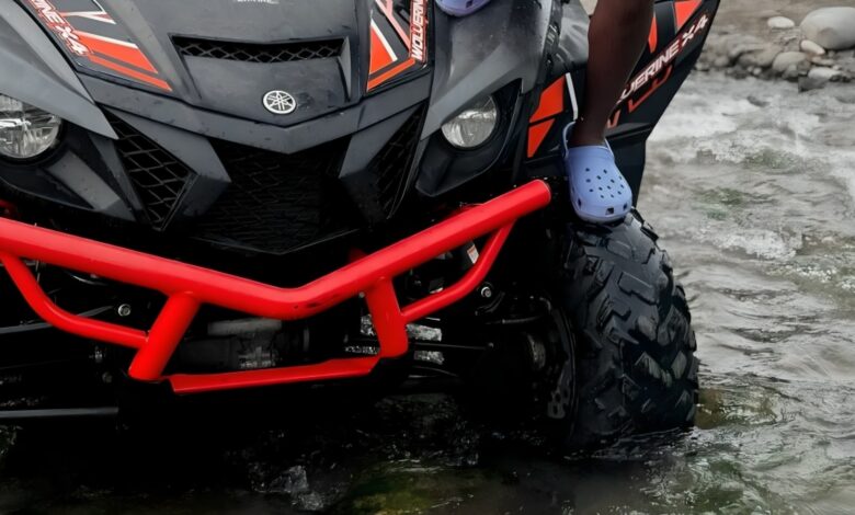 Guess Which Dancehall artiste Owns This 'Beast' ATV