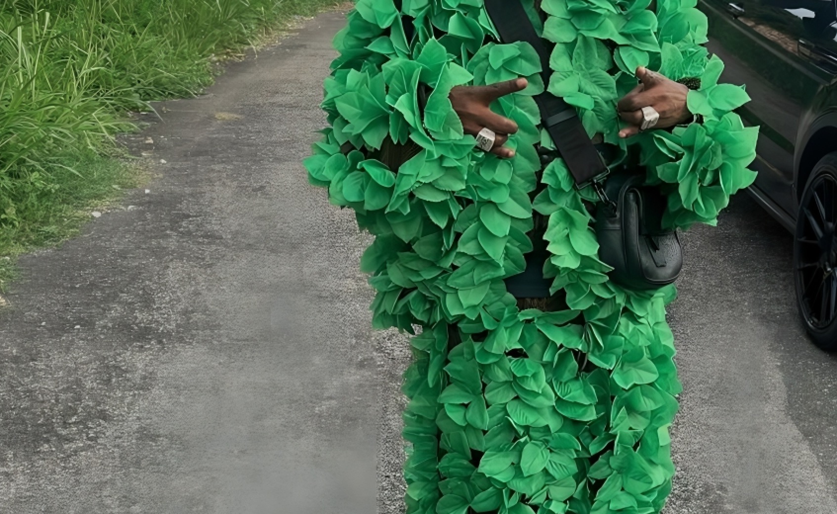 Guess Which Dancehall Artiste is Rocking This Green Leafy Outfit?